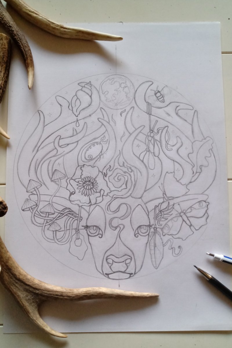The Stag's Head - Pencil Sketch Design